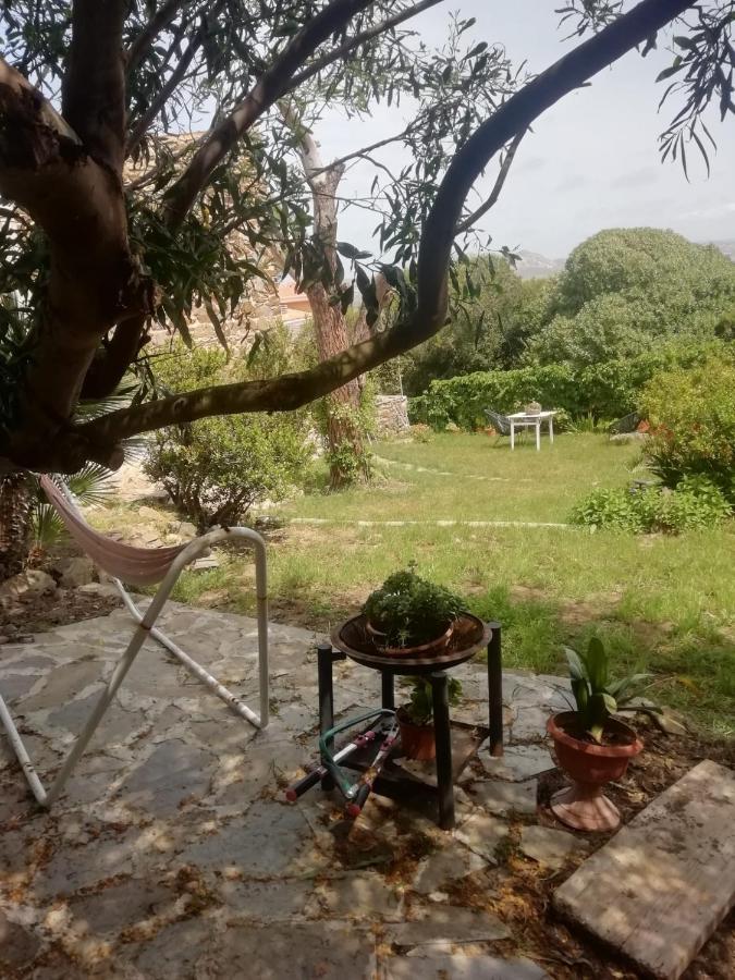 Bed and Breakfast Sa Domo De Afra Stintino Exterior foto