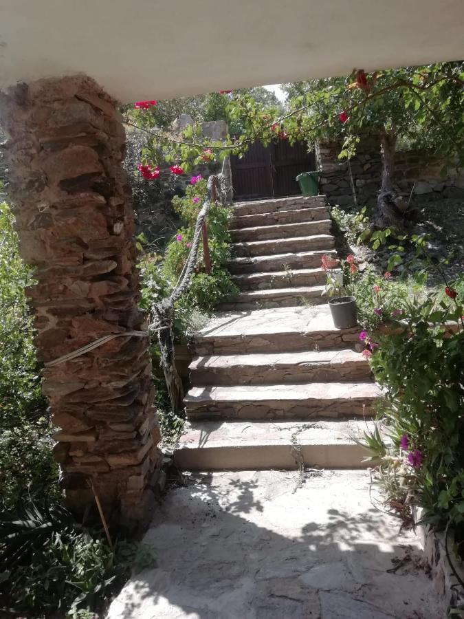 Bed and Breakfast Sa Domo De Afra Stintino Exterior foto