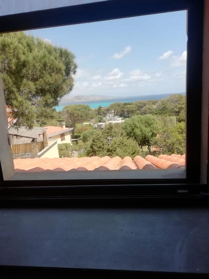 Bed and Breakfast Sa Domo De Afra Stintino Exterior foto