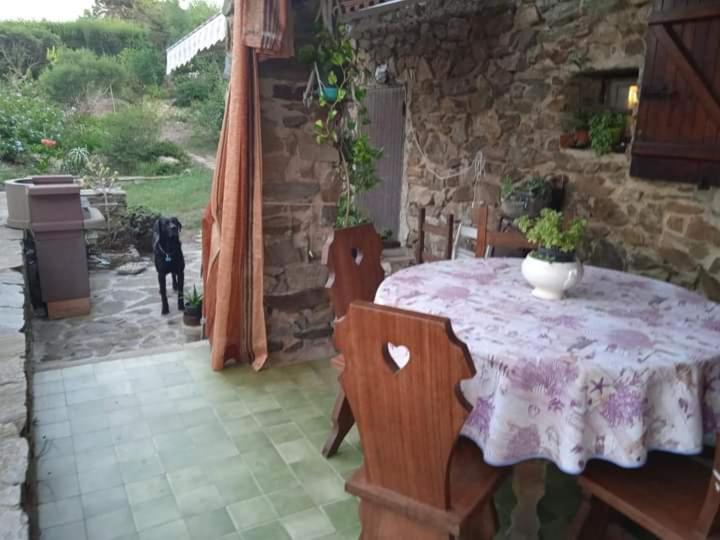 Bed and Breakfast Sa Domo De Afra Stintino Exterior foto